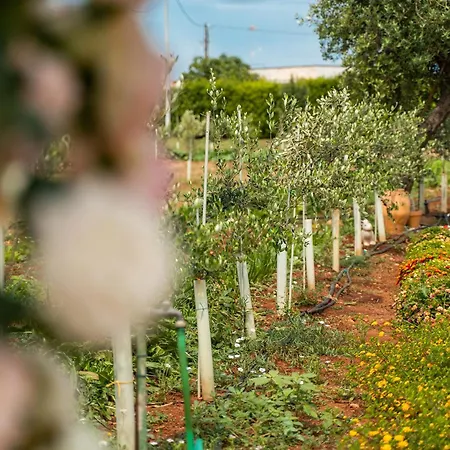 Dimora Soleda Торре-Сан-Джованни-Удженто