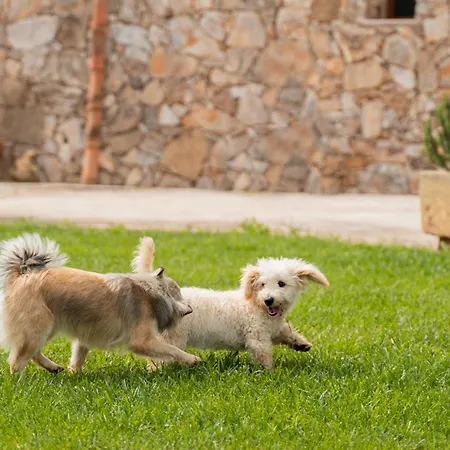 Dimora Soleda * Торре-Сан-Джованни-Удженто