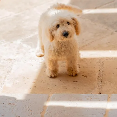 아파트 Dimora Soleda 토레 산 지오반니 우겐토